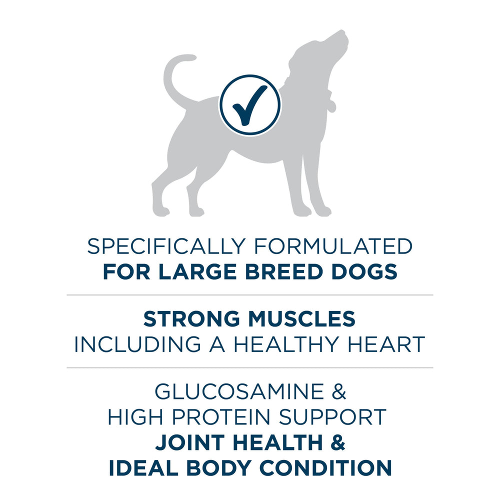 Purina ONE bol con pienso listo para servir y aporte proteico visible