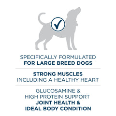 Purina ONE bol con pienso listo para servir y aporte proteico visible