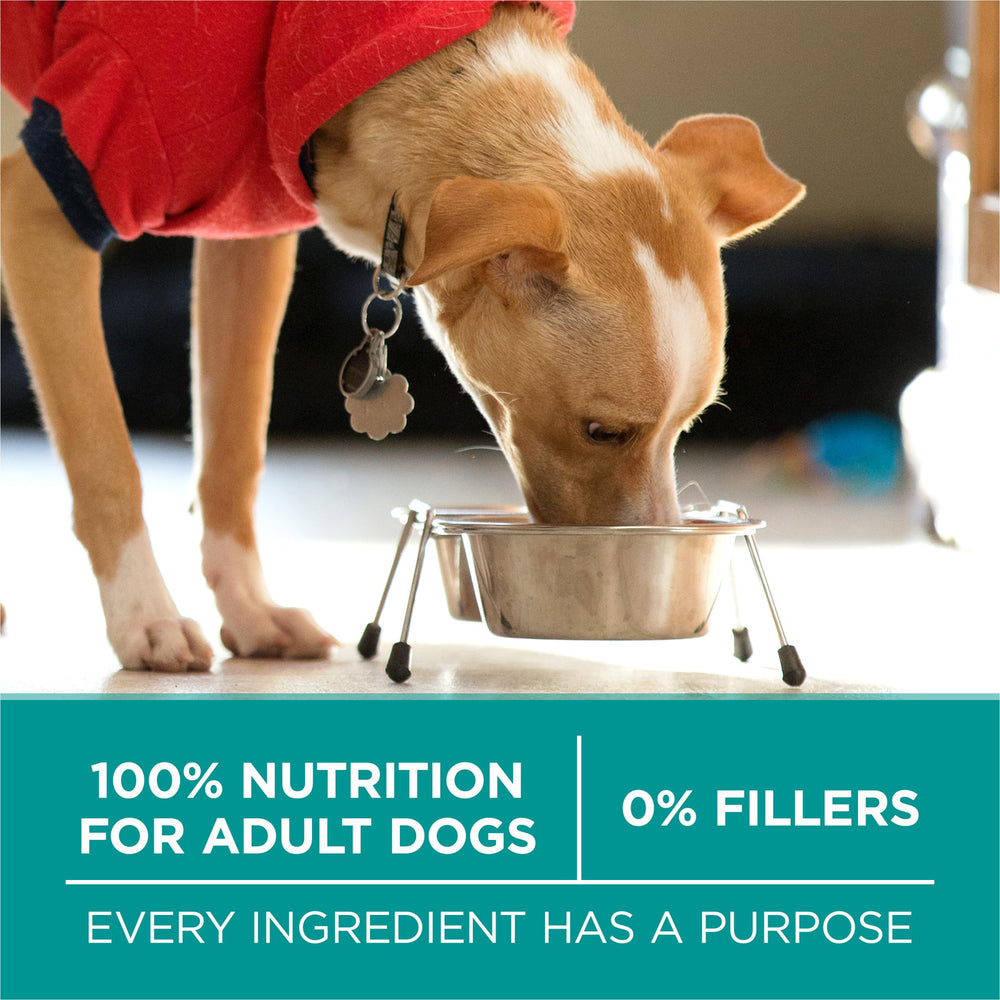 Purina ONE bolsa y bol en cocina mostrando uso cotidiano