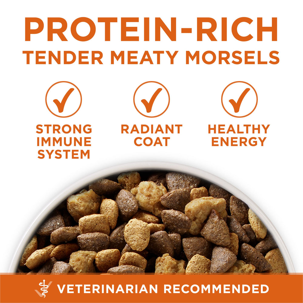 Purina ONE primer plano de nutrientes y glucosamina para movilidad