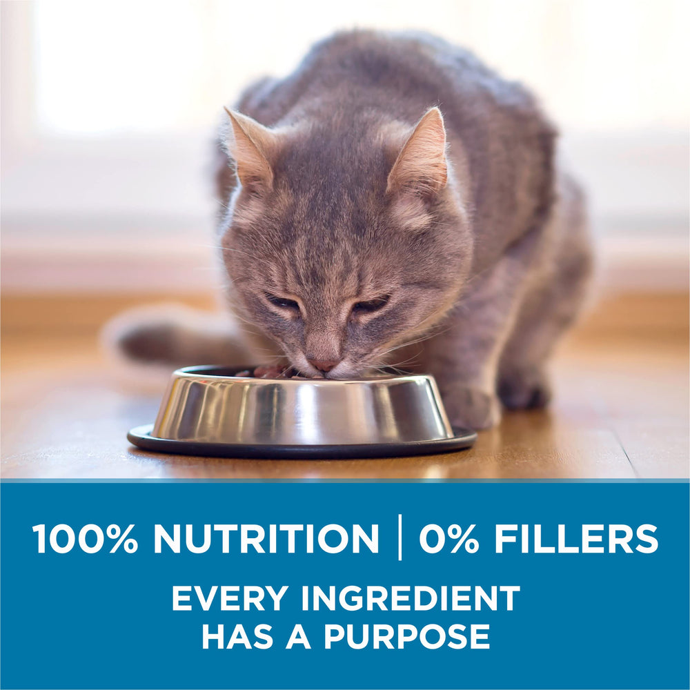 Purina ONE croquetas en mano humana, muestra tamaño y consistencia