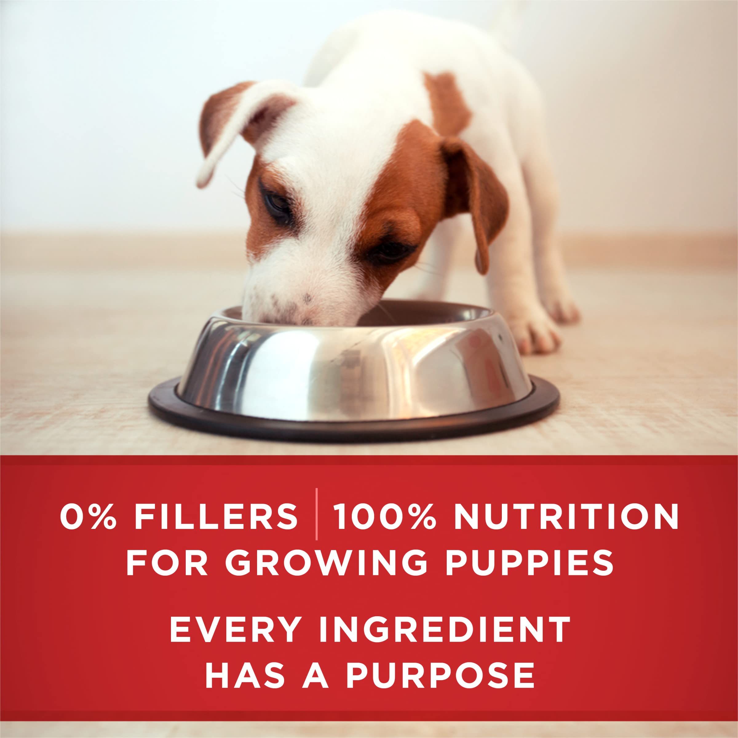 Purina ONE mezcla servida con pienso seco para transición de alimento