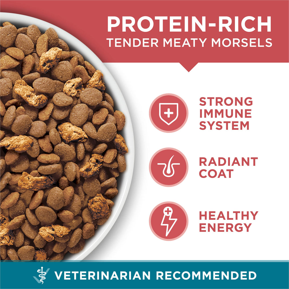 Purina ONE detalle de prebióticos que apoya digestión equilibrada