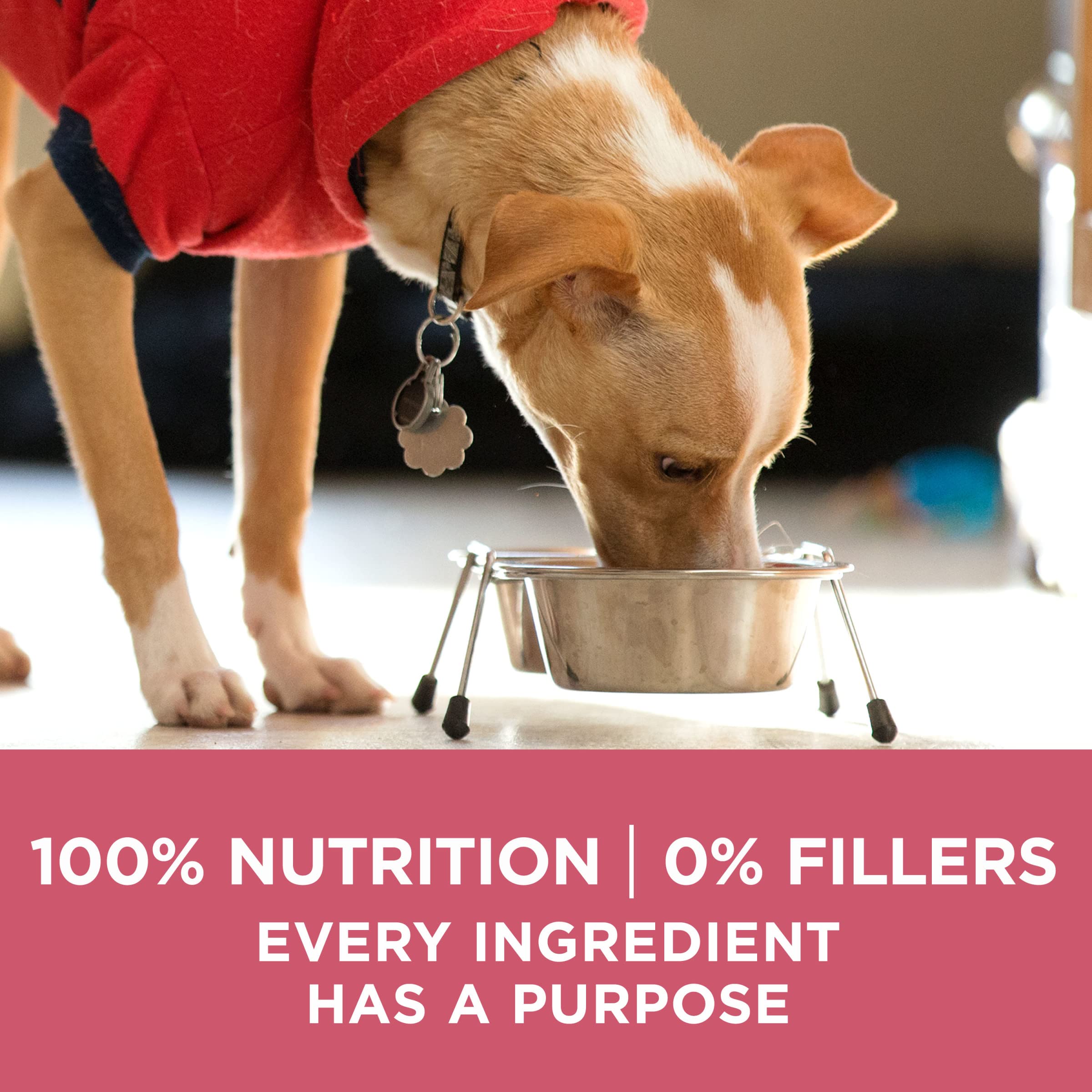 Purina ONE empaque con sello de calidad de instalaciones Purina