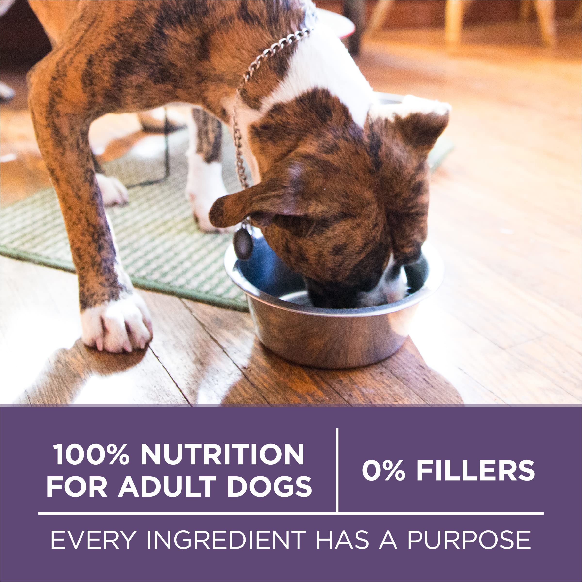 Purina ONE envase lateral con información de nutrientes y uso