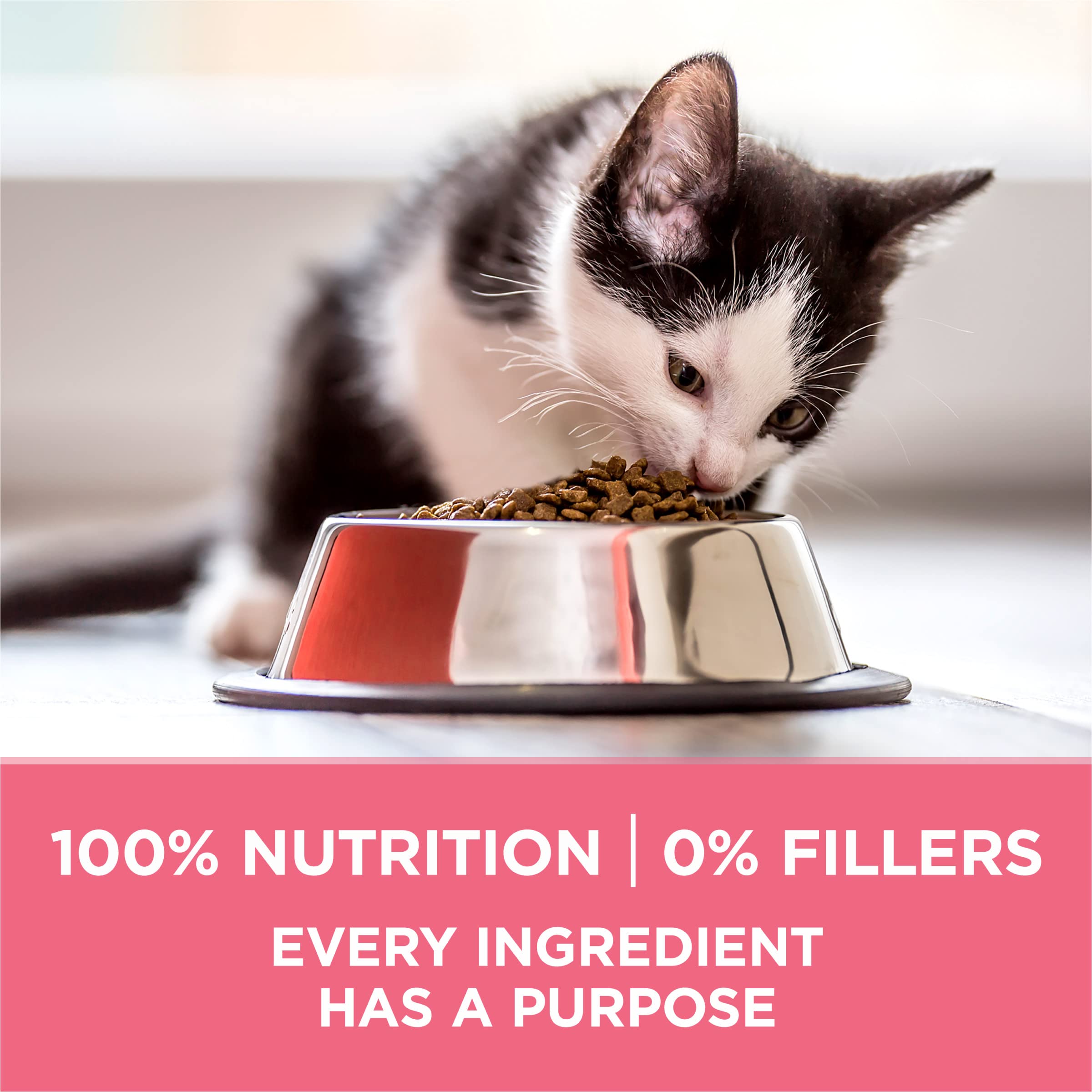 Purina ONE bolsa en cocina familiar, solución práctica para el hogar