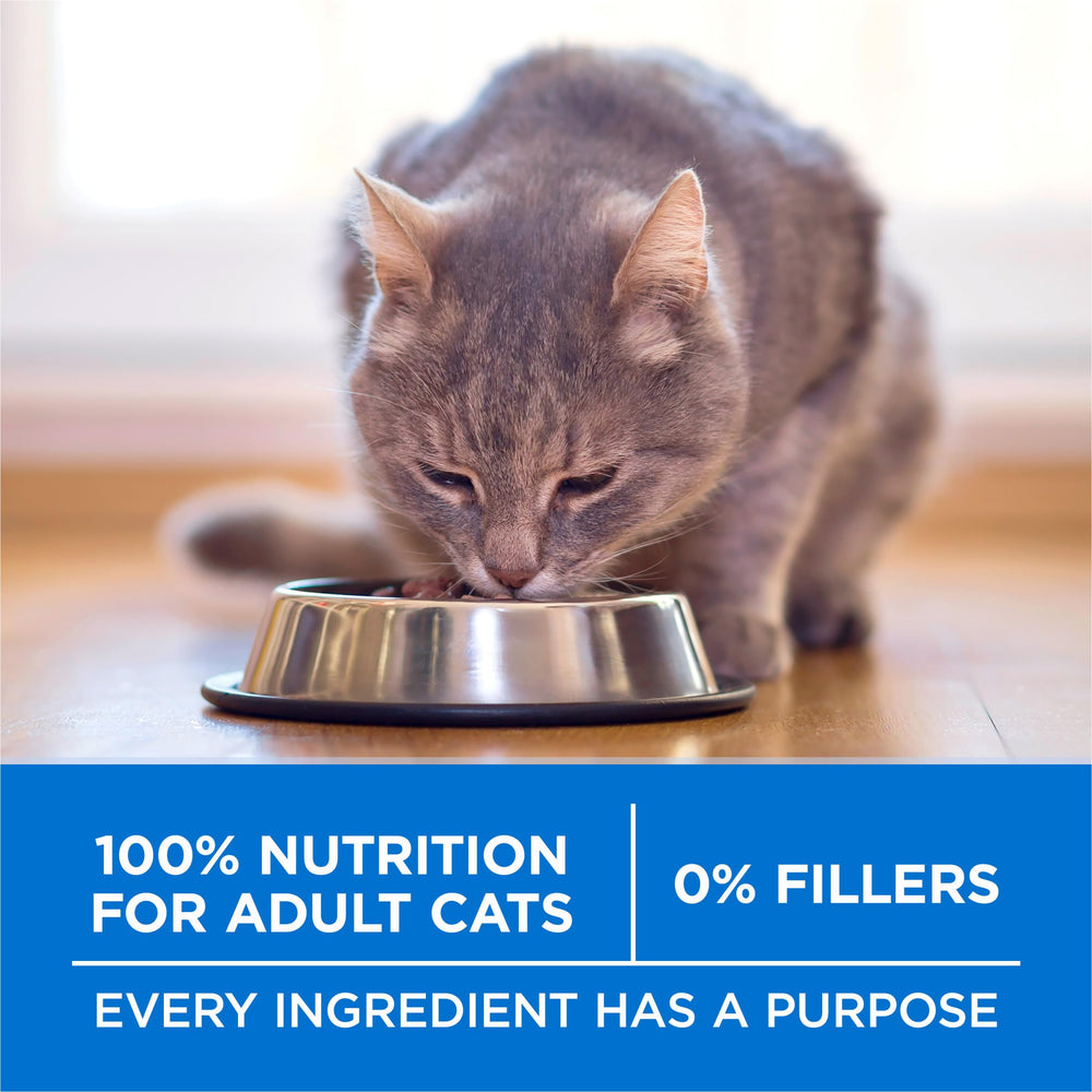 Purina ONE etiqueta nutricional clara indicando 38% proteína total