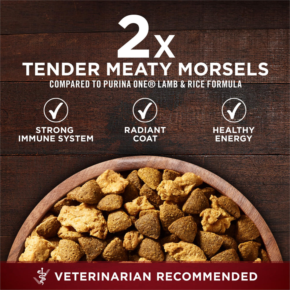 Purina ONE etiqueta nutricional en primer plano indicando composición y vitaminas añadidas