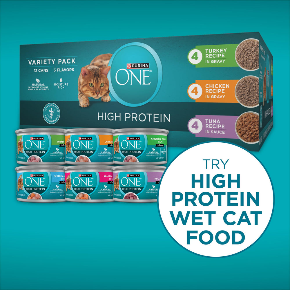 Purina ONE gato comiendo mostrando aceptación y disfrute