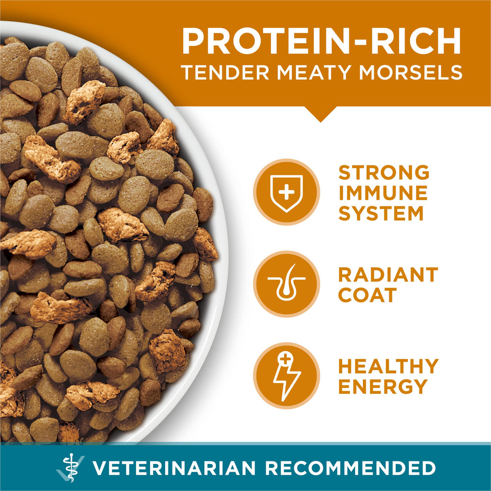 Purina ONE ingredientes frescos con zanahorias y guisantes que ilustran fibra natural