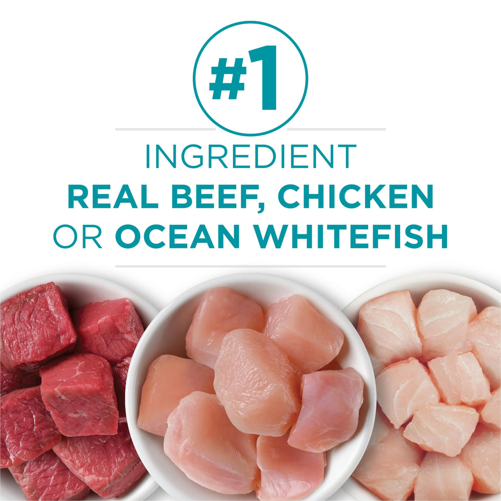 Purina ONE ingredientes reales como pollo, res y pescado visibles
