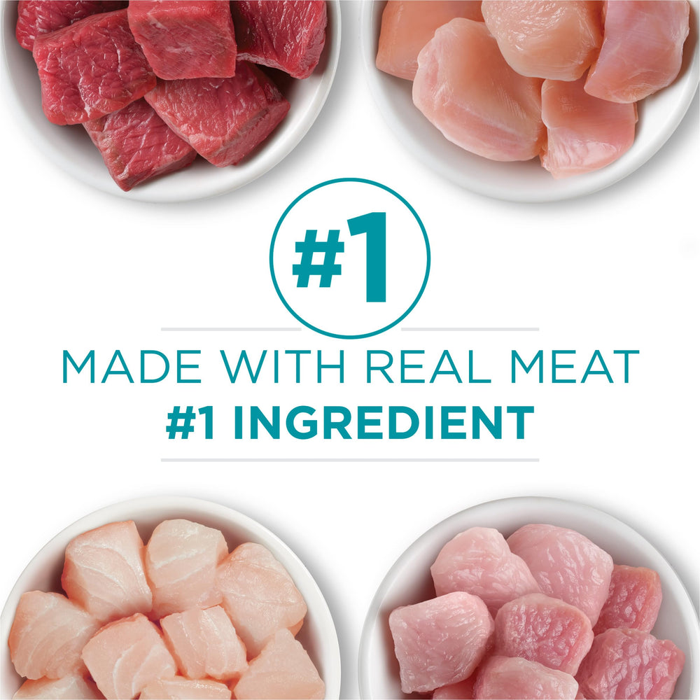 Purina ONE ingredientes principales (carne y pescado) que aportan proteína