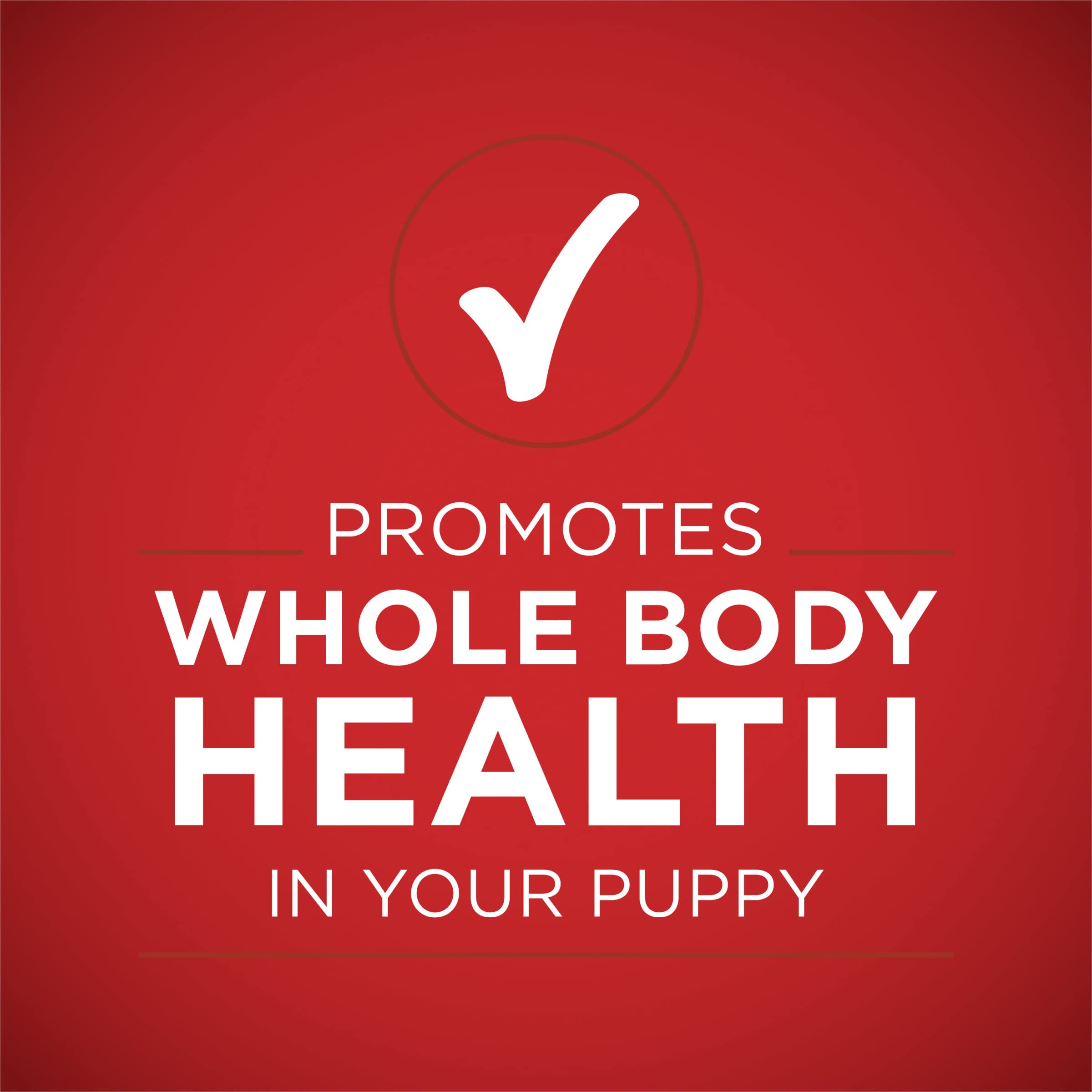 Purina ONE pack de 12 latas, almacenamiento práctico y porcionable