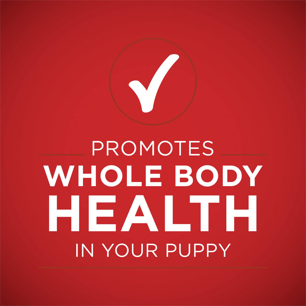 Purina ONE pack de 12 latas, almacenamiento práctico y porcionable