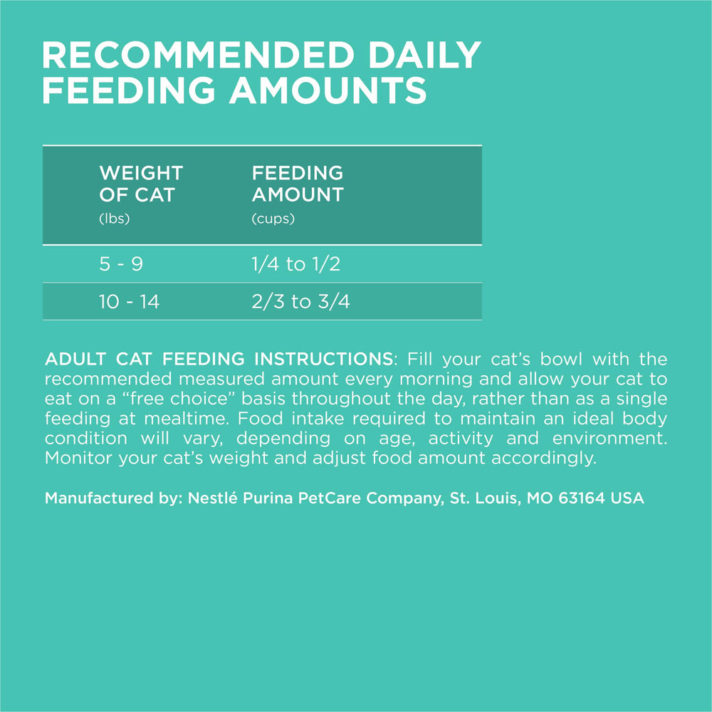 Purina ONE dueño sirviendo croquetas, facilita transición alimentaria