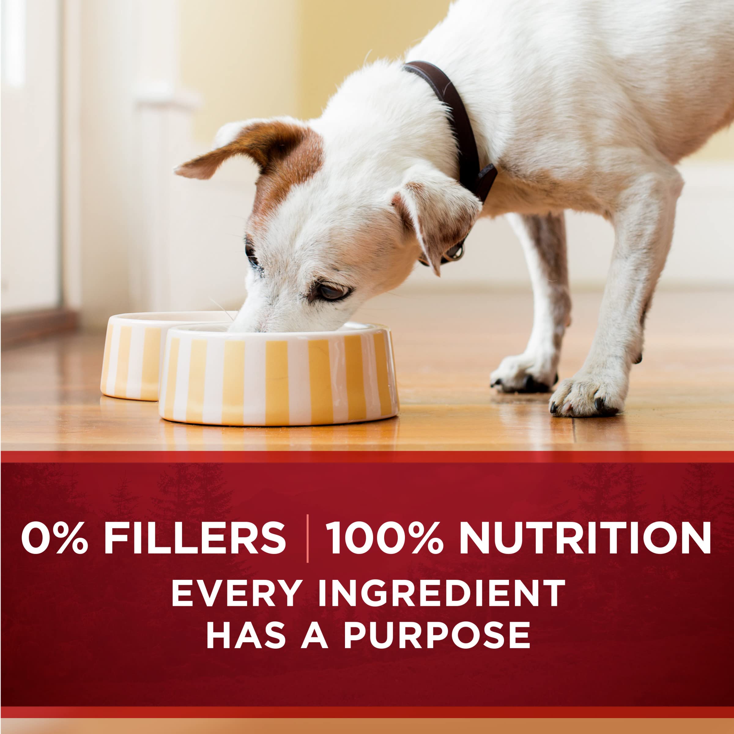 Pack de 12 Purina ONE mostrando cantidad conveniente para abastecimiento