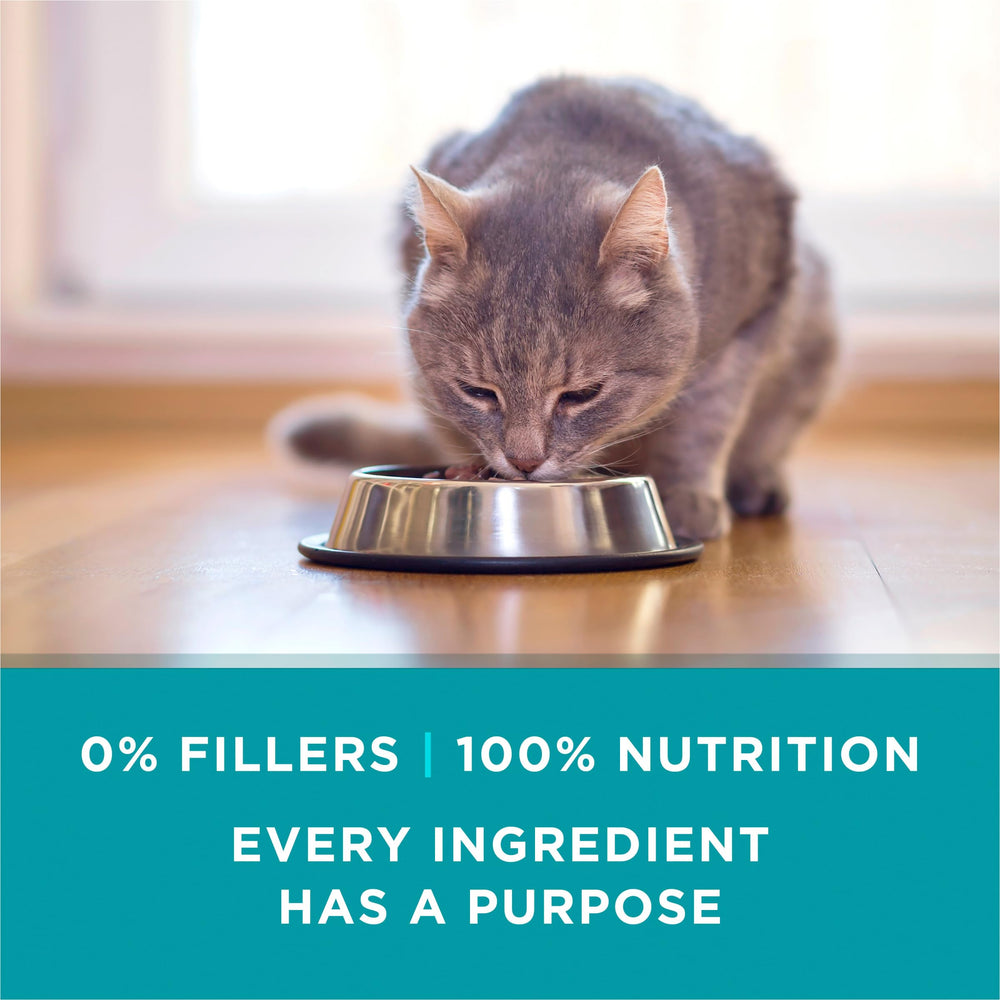 Purina ONE pack de 24 latas ideal para abastecer hogar con suministro