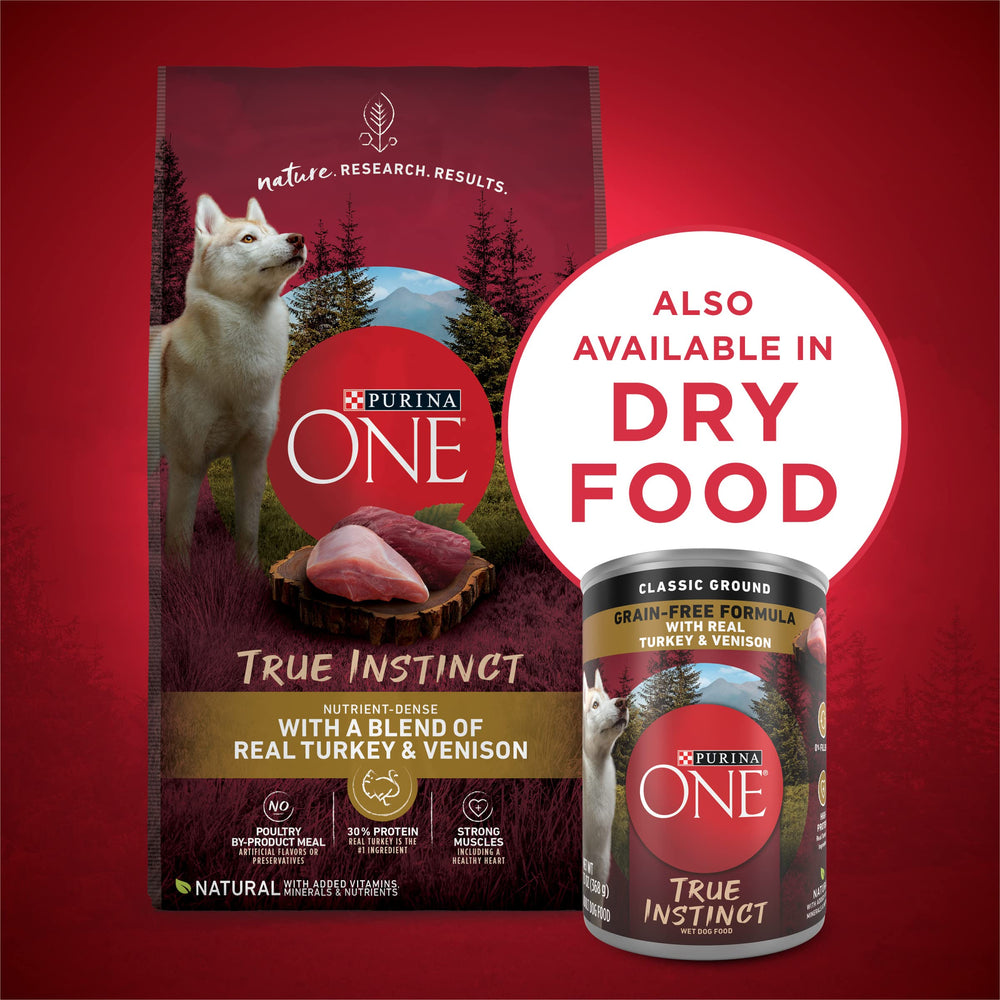 Perro comiendo Purina ONE y disfrutando sabor natural