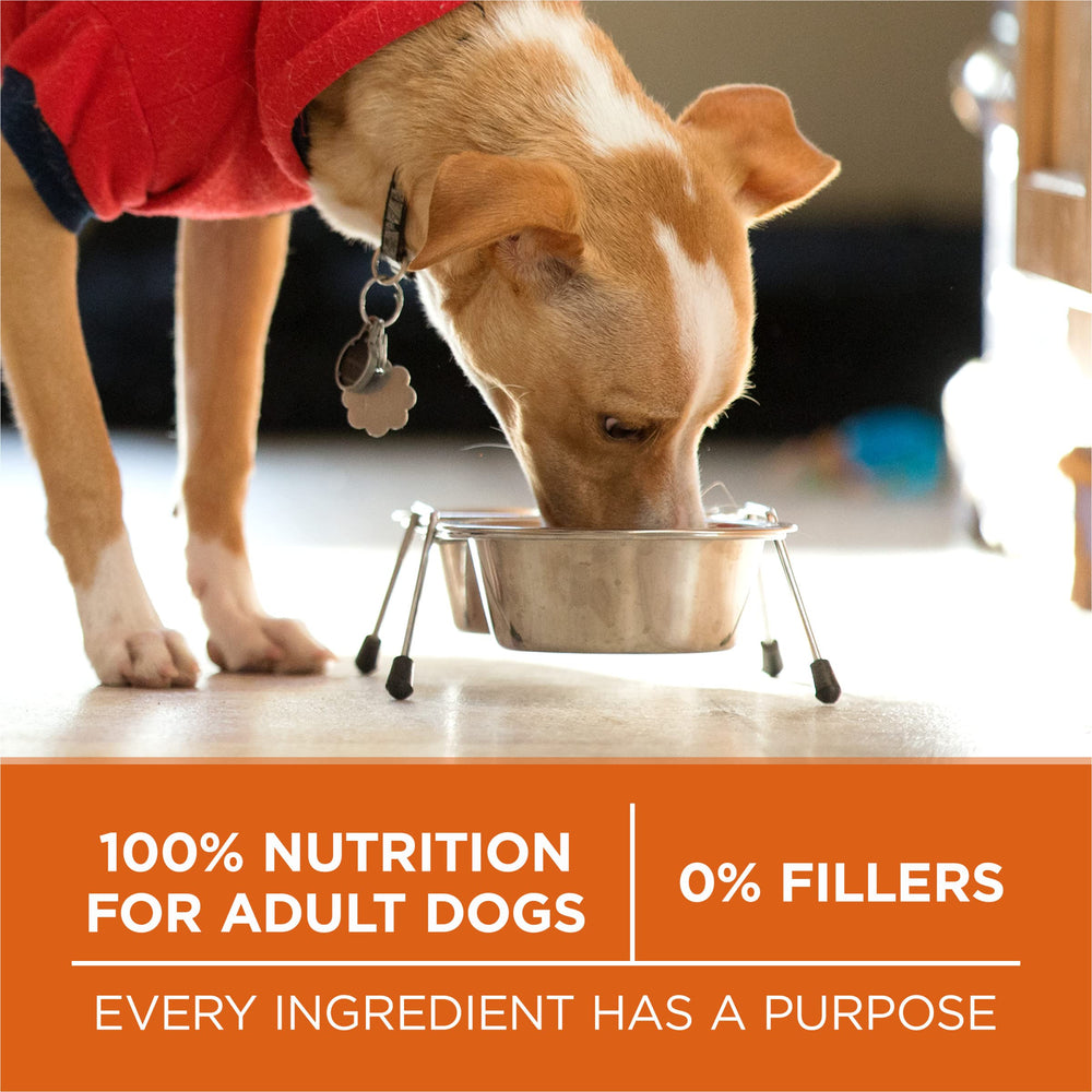 Purina ONE paquete 16.5 lb para comparar tamaño y almacenamiento