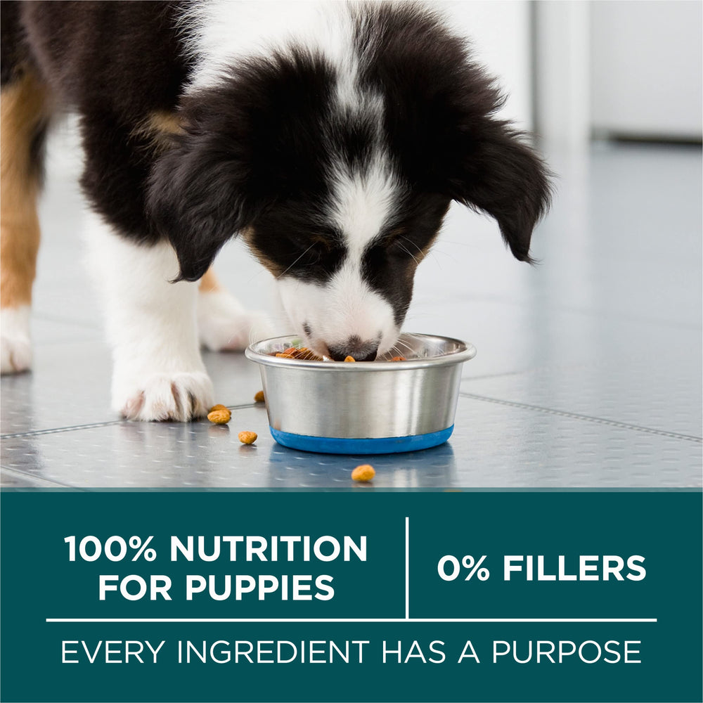 Purina ONE pelaje brillante mostrando beneficios de omega-6