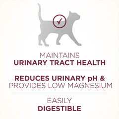 Purina ONE ingredientes principales con pollo real y granos visibles