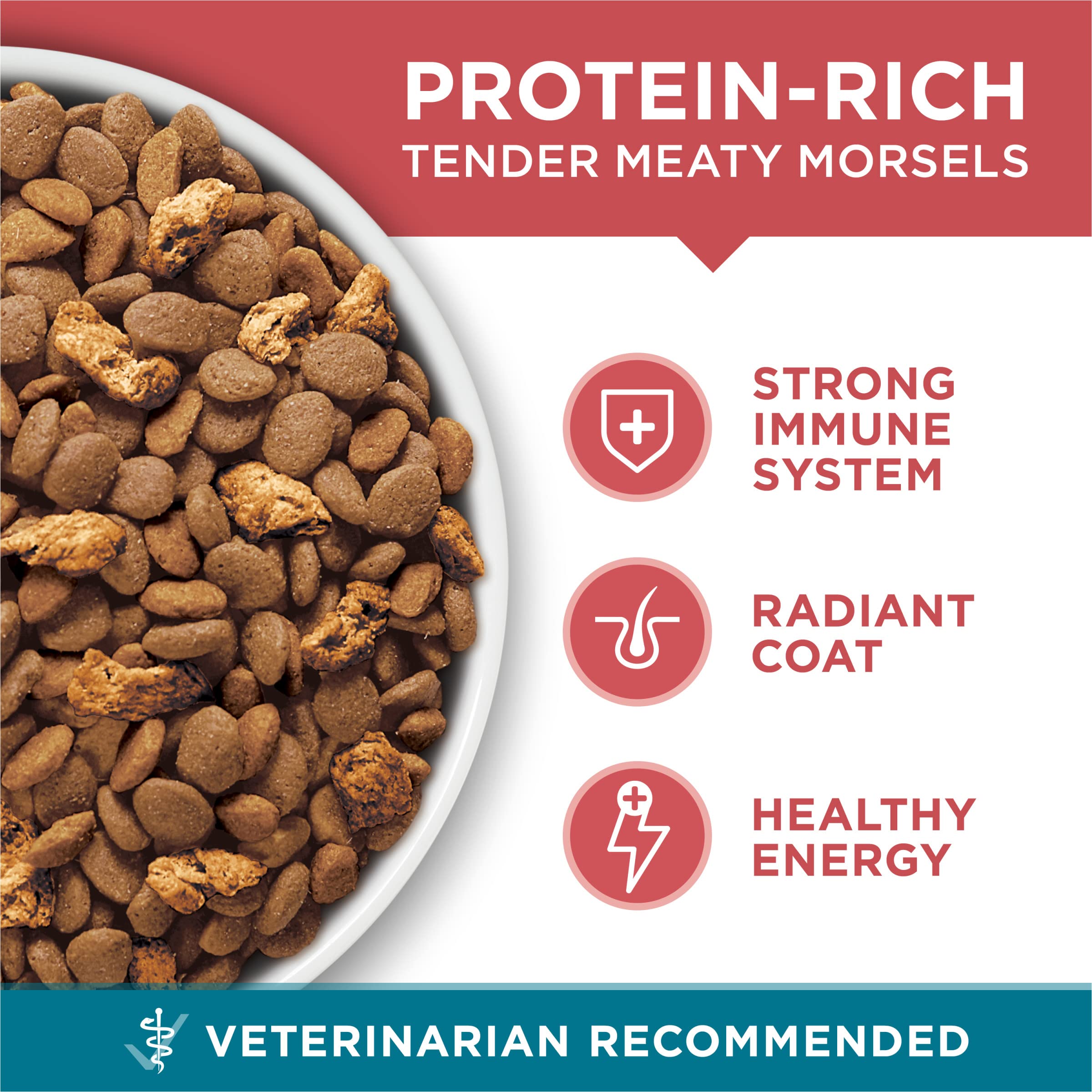 Purina ONE iconos de prebióticos y antioxidantes resaltando beneficios