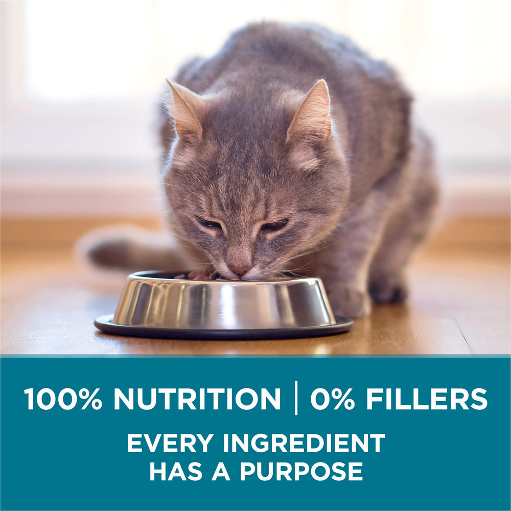 Purina ONE producto en cocina doméstica representando uso diario familiar