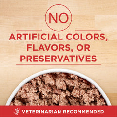 Purina ONE textura en primer plano, pâté suave fácil de masticar para perros mayores