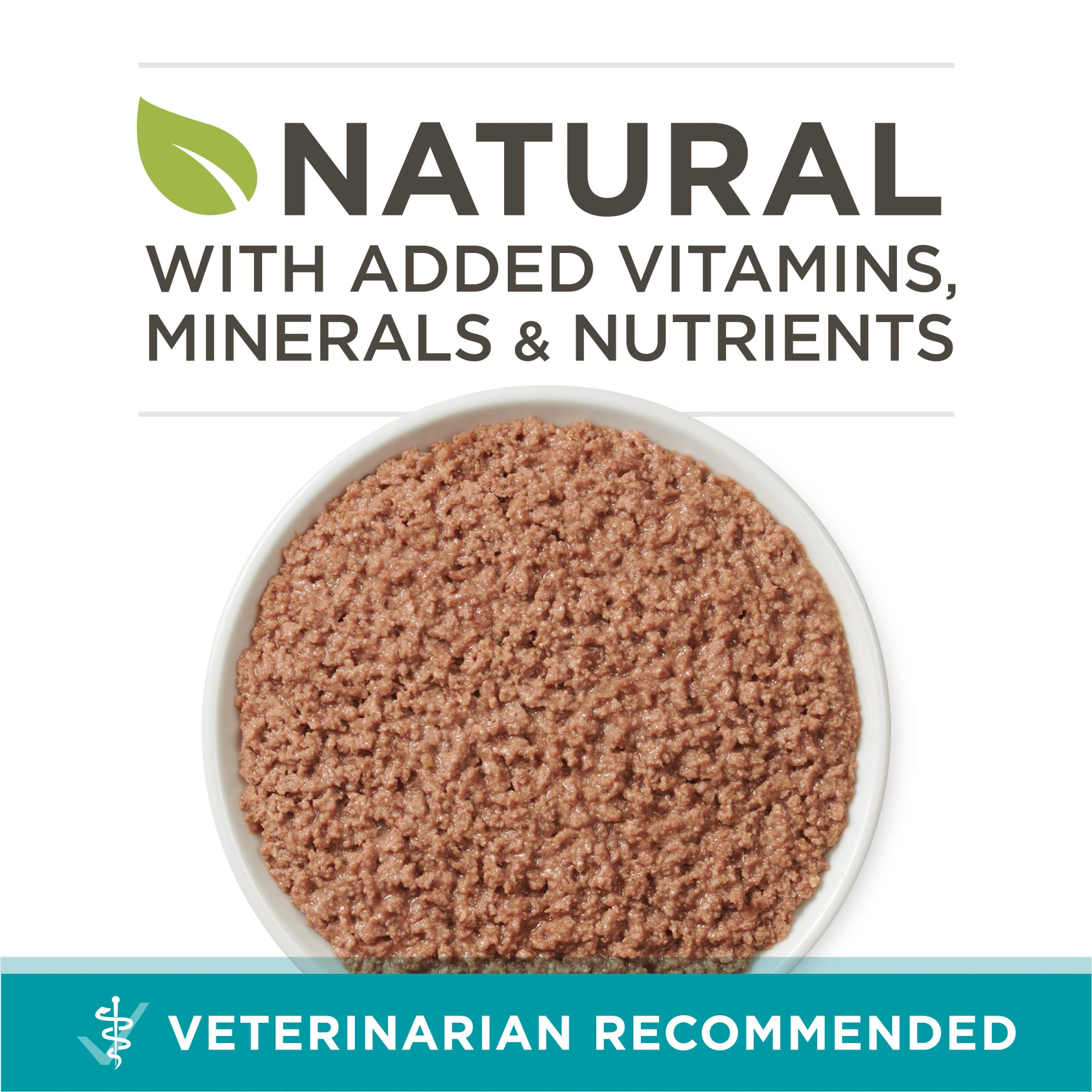 Purina ONE textura paté en primer plano, apetito fácil y digestión