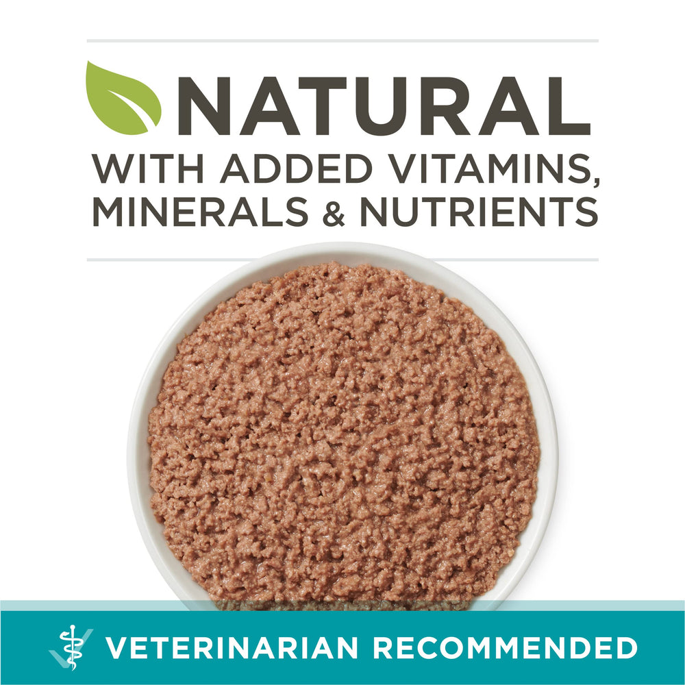 Purina ONE textura paté en primer plano, apetito fácil y digestión