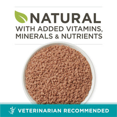 Purina ONE textura paté en primer plano, apetito fácil y digestión