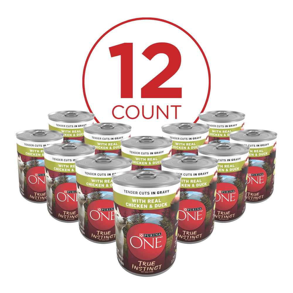 Purina ONE trozos en salsa mostrando textura apetitosa y mayor palatabilidad