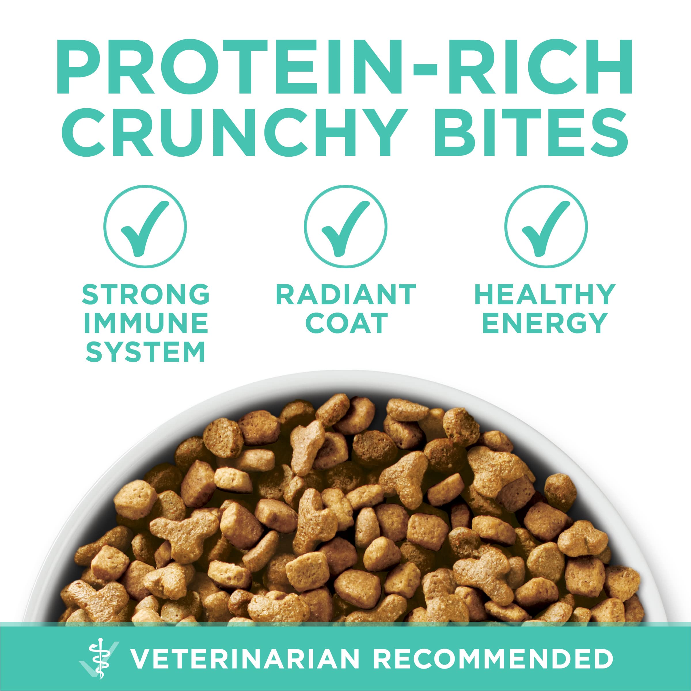 Purina ONE pelaje brillante en gato tras nutrición adecuada y cuidado de la piel
