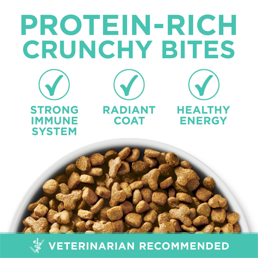 Purina ONE pelaje brillante en gato tras nutrición adecuada y cuidado de la piel