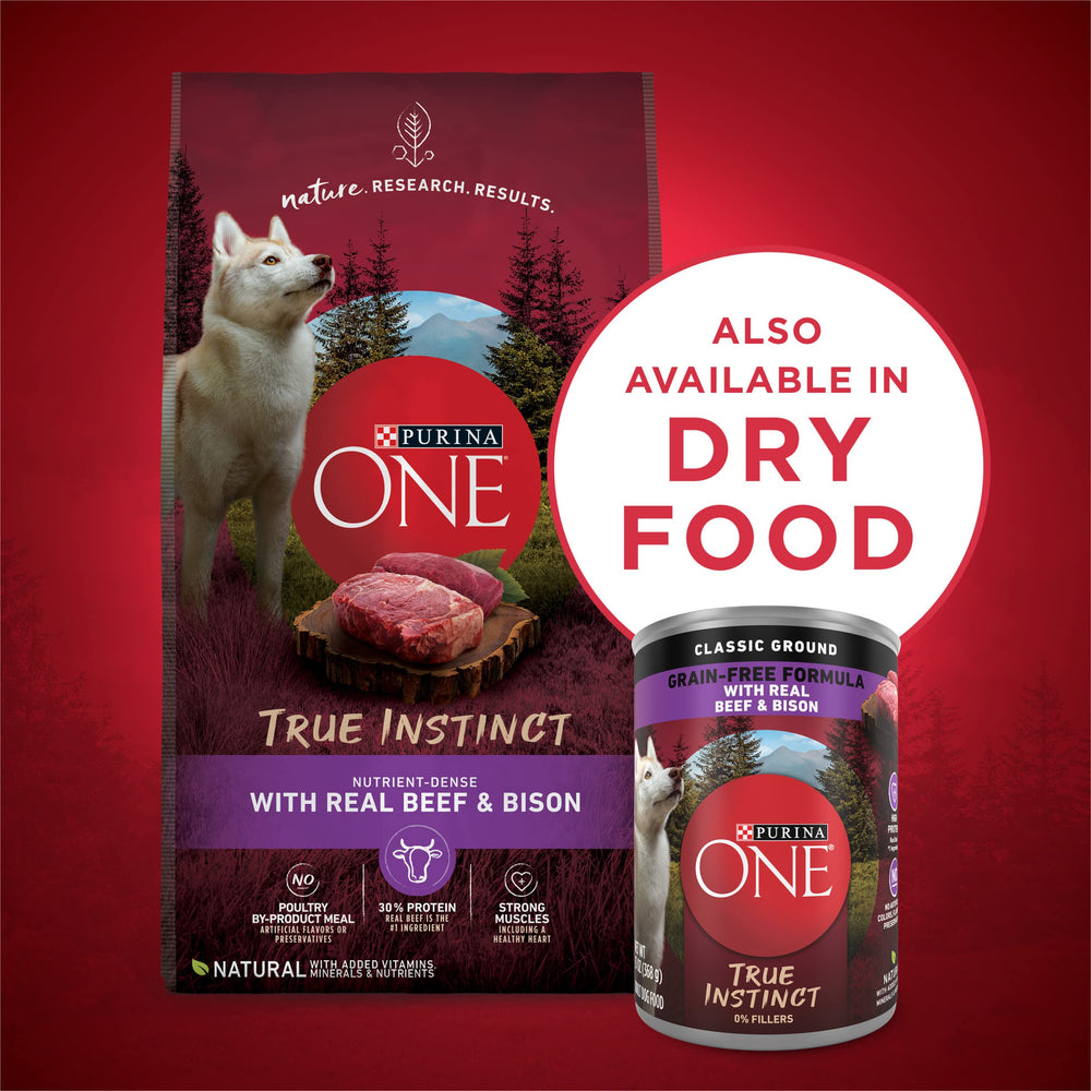Perro disfrutando Purina ONE en un ambiente de hogar, promoviendo aceptación alimentaria