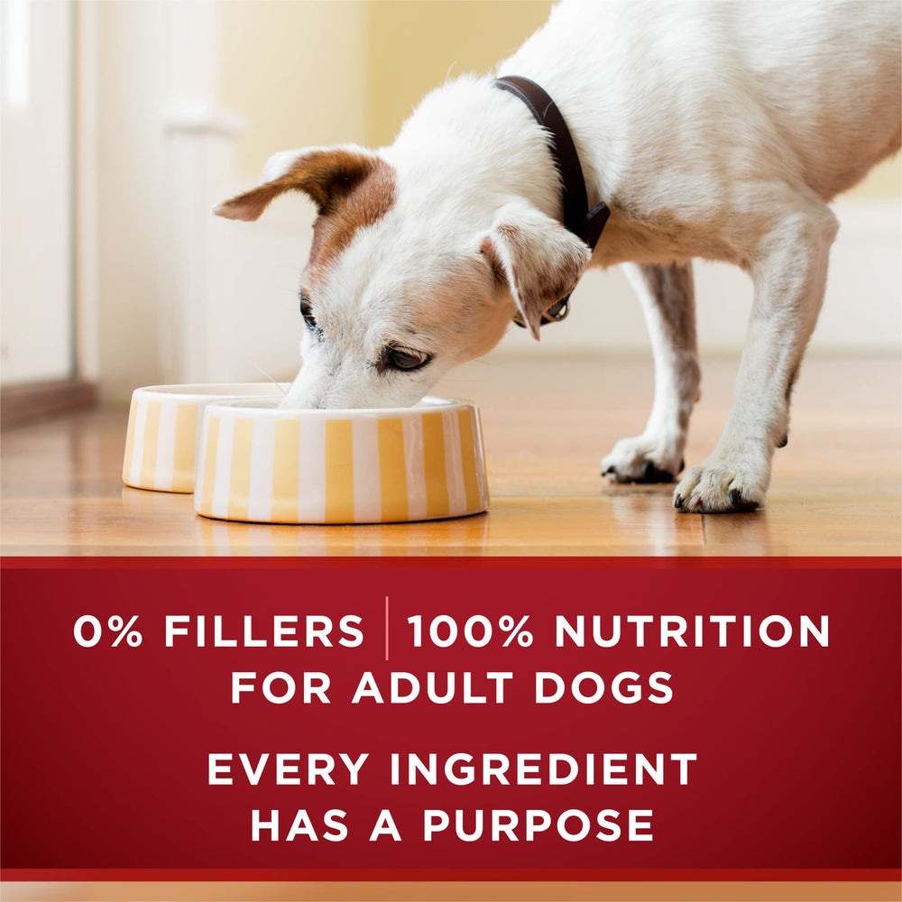 Multipack de 12 latas Purina ONE True Instinct mostrando el empaque del conjunto