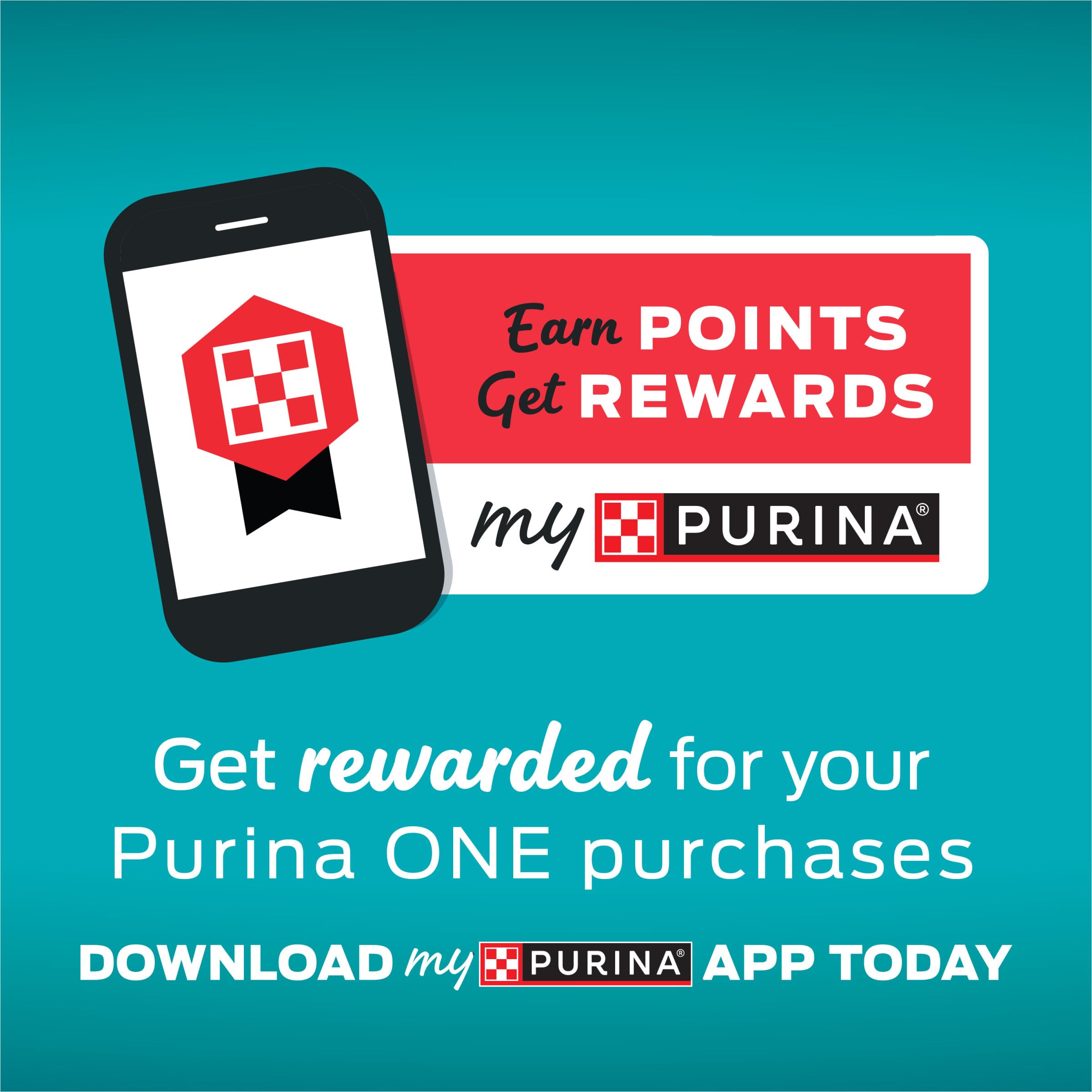 Purina ONE plato en entorno doméstico, integración fácil en la rutina
