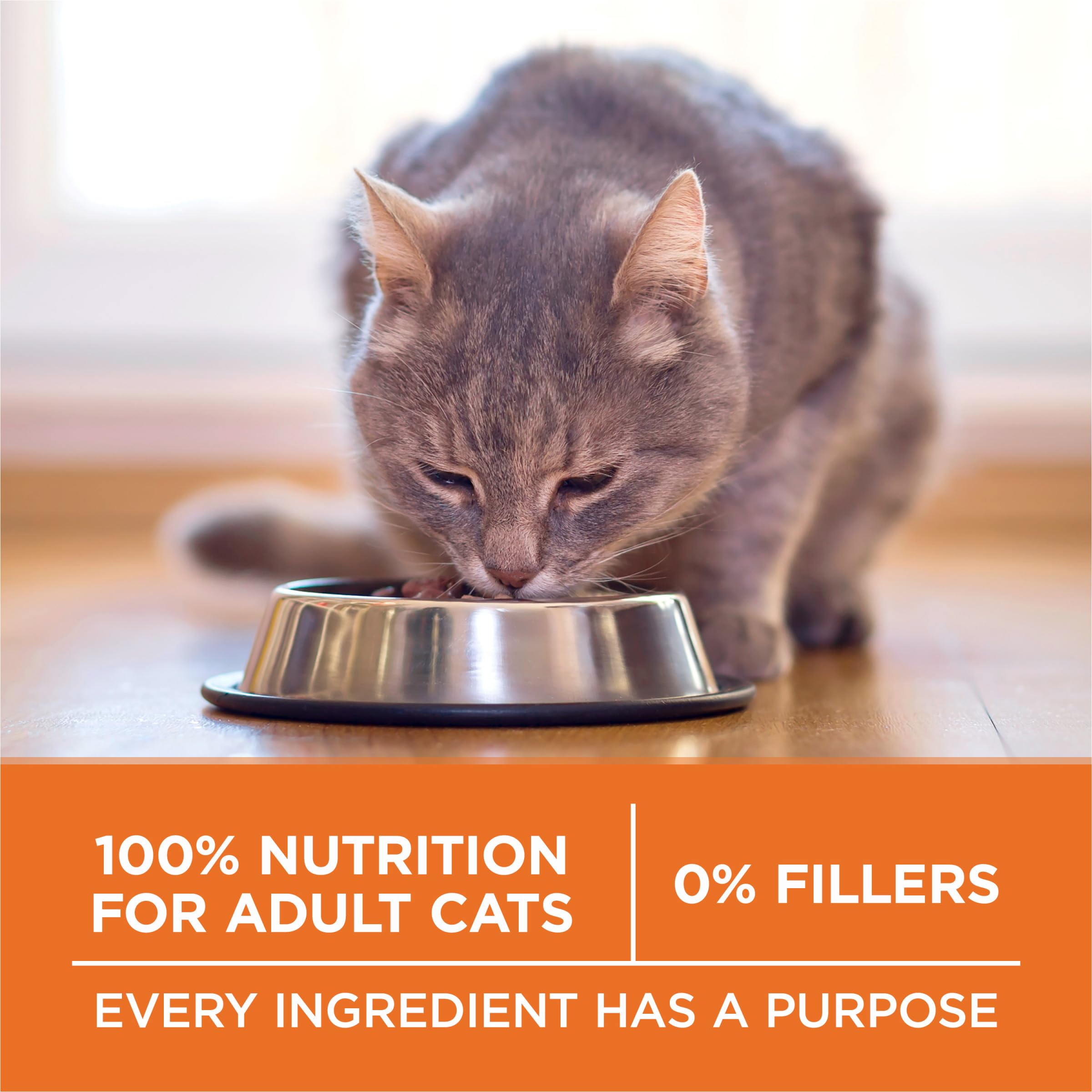 Purina ONE croquetas en cocina en uso diario para gatos con sobrepeso