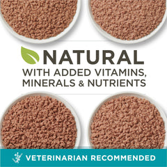 Purina ONE variedad de latas para ofrecer distintos sabores al gato