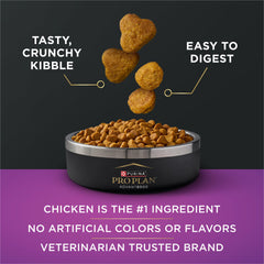 Purina Pro Plan bol con pienso y trozos de pollo, mayor palatabilidad