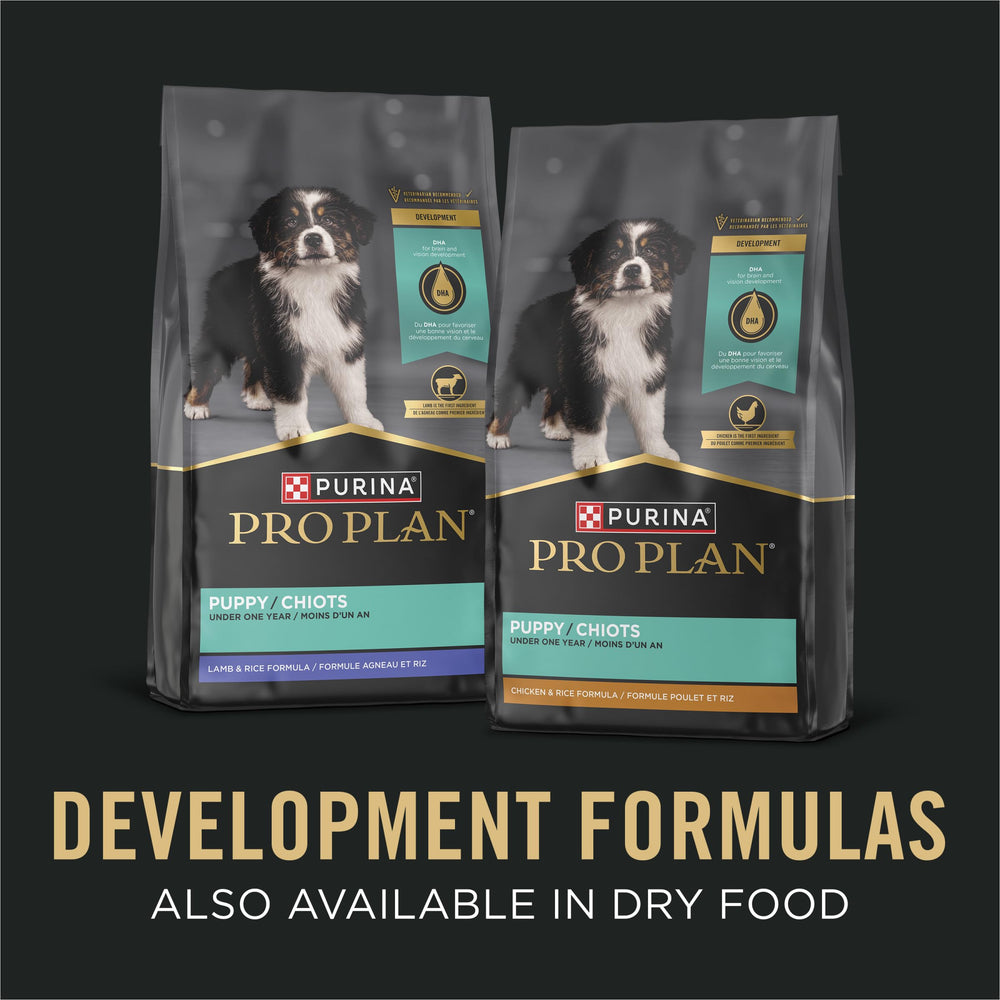 Purina Pro Plan cachorro comiendo del plato, beneficio: ilustra aceptación y palatabilidad