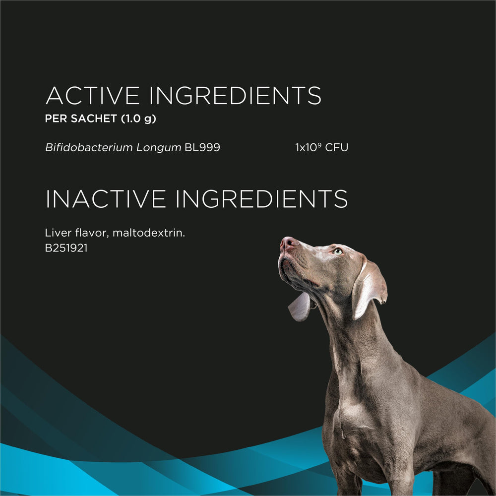Purina Pro Plan comparación de tamaño del sobre junto a una cucharita