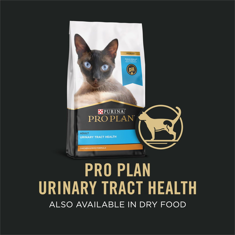 Purina Pro Plan comida en plato en uso mostrando aceptación del gato