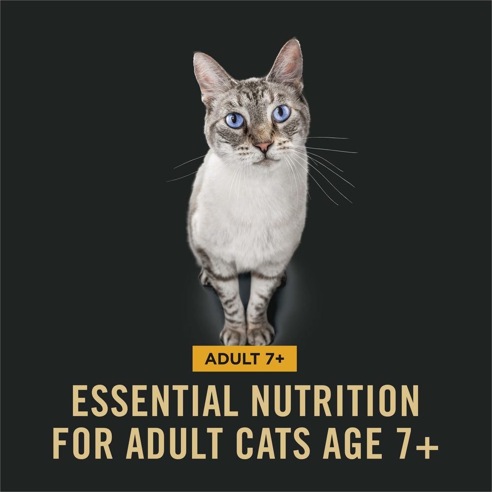 Purina Pro Plan croqueta junto a una moneda para comparar tamaño