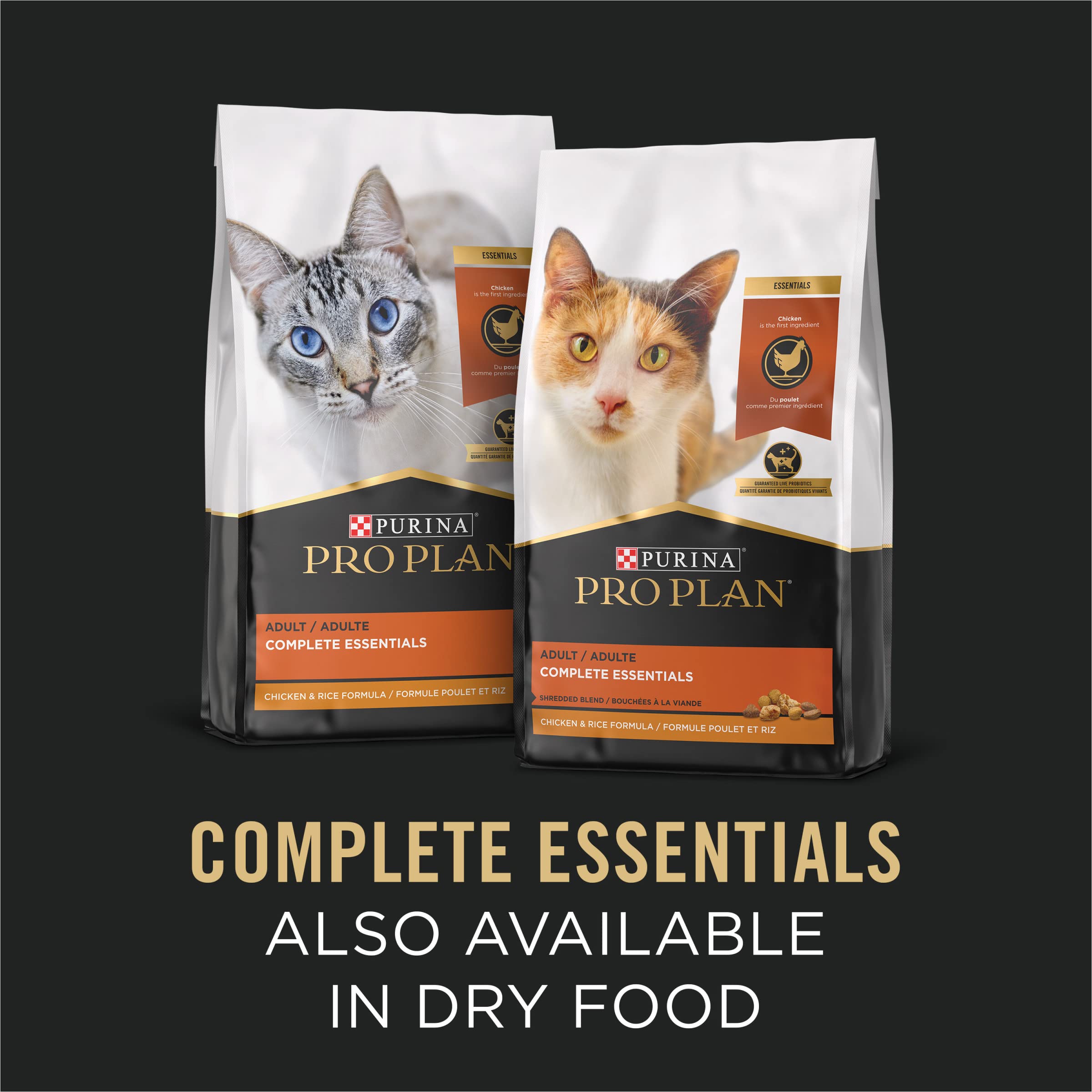 Purina Pro Plan gato disfrutando la cena en ambiente hogareño, momento placentero