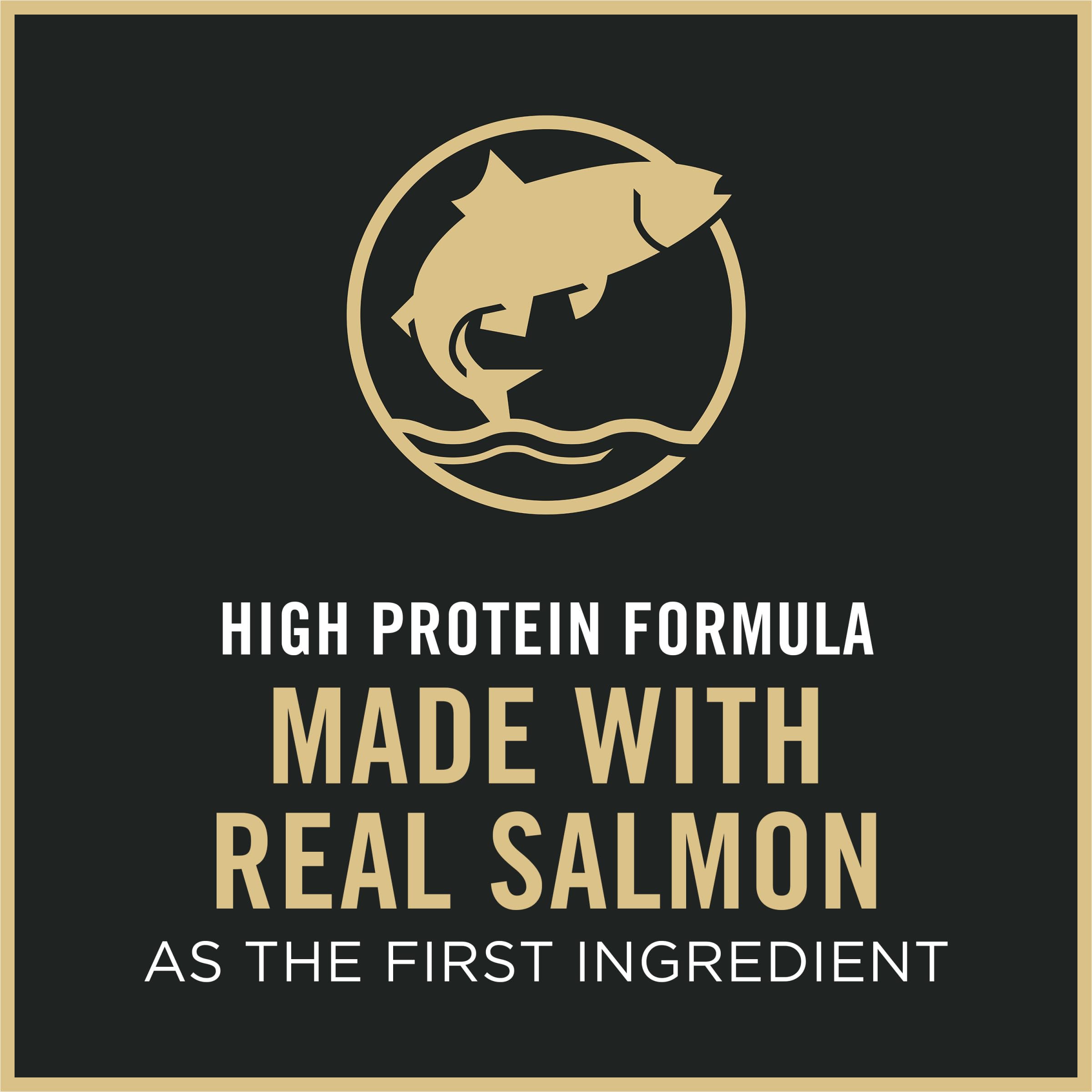 Purina Pro Plan gato con pelaje brillante tras alimentación nutritiva