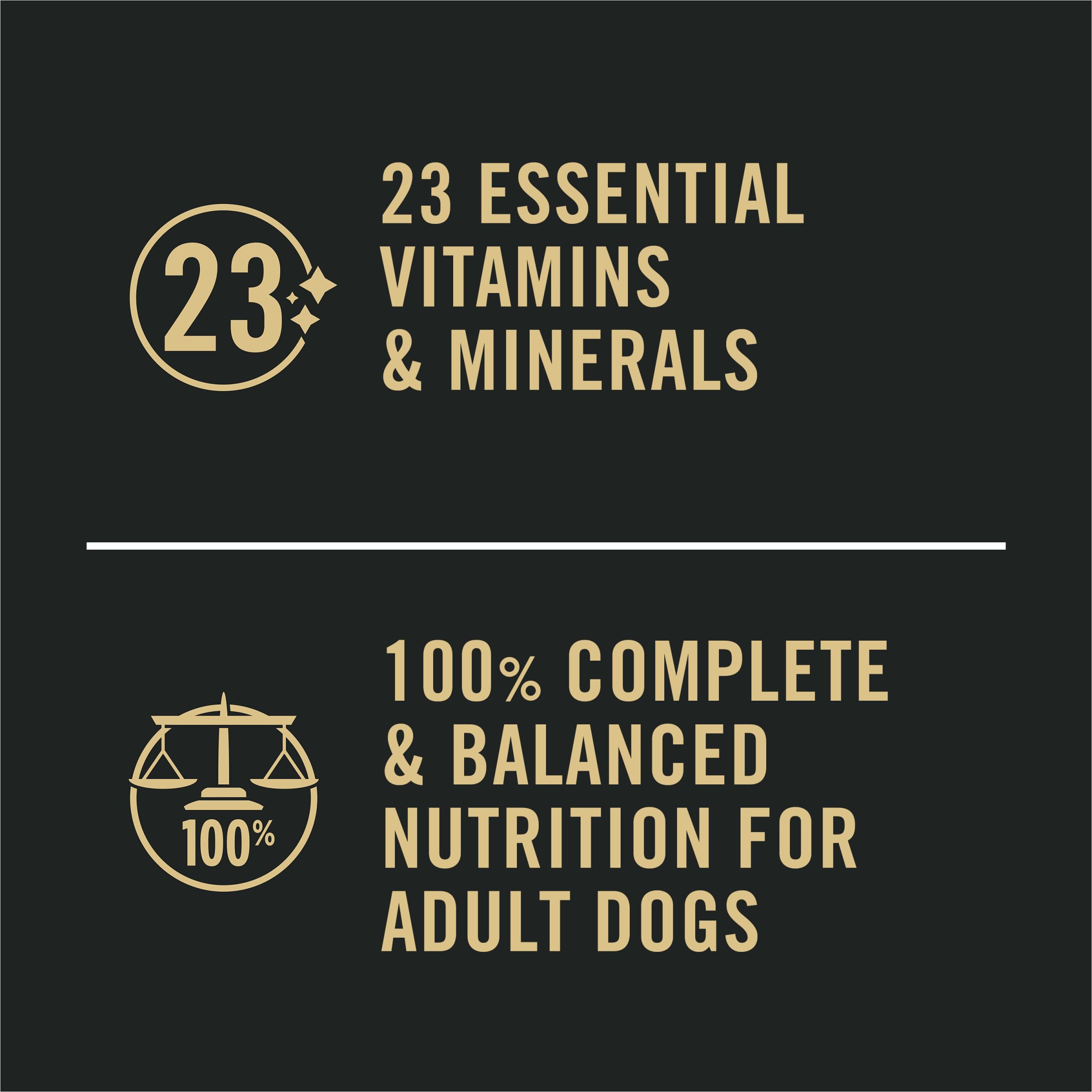 Purina Pro Plan perro con pelo brillante mostrando beneficio para piel
