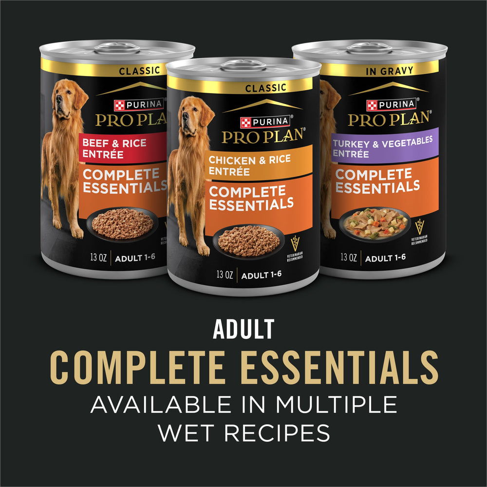 Purina Pro Plan estilo de vida paseo con perro activo bien nutrido