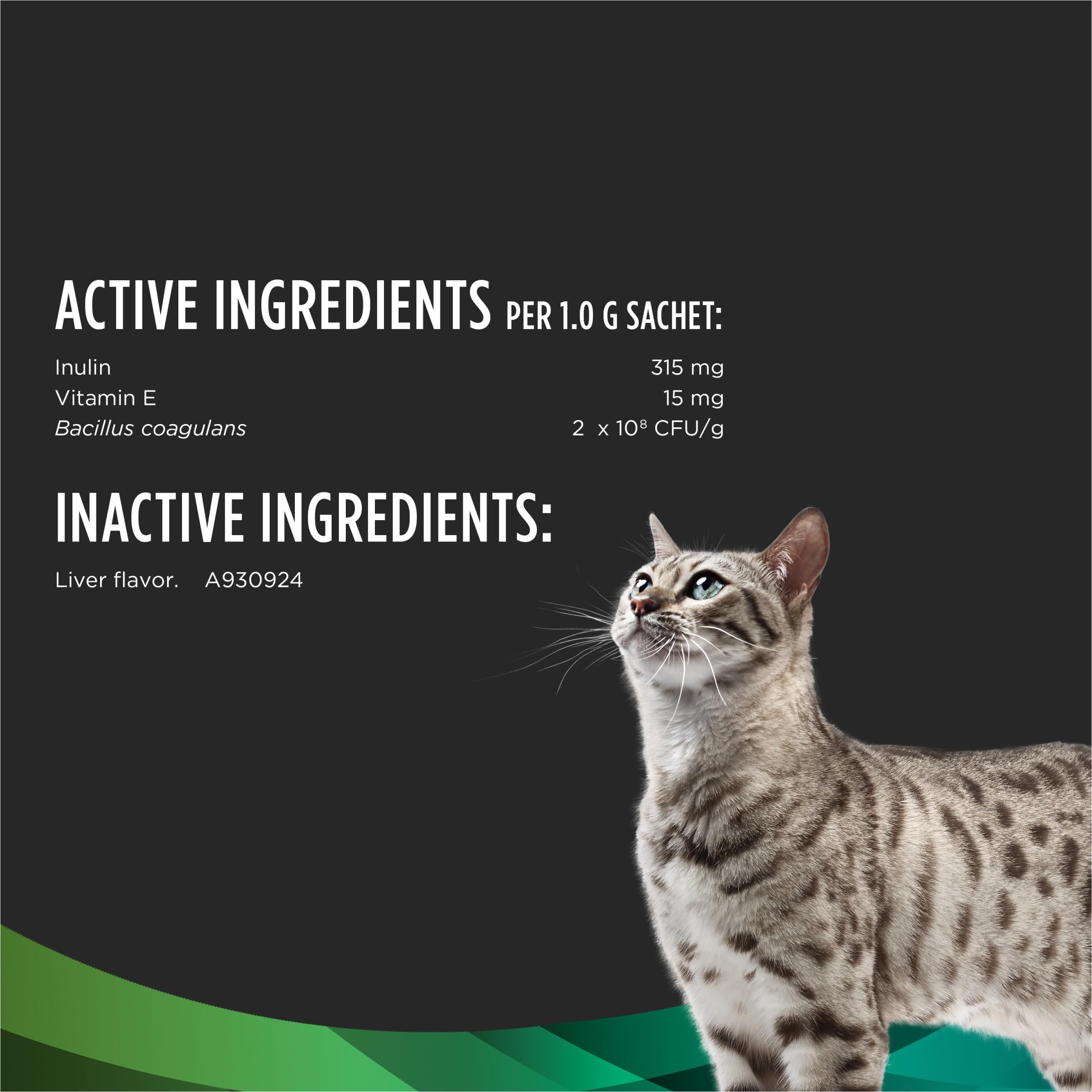 Purina Pro Plan gato comiendo del plato con suplemento y mejor aceptación