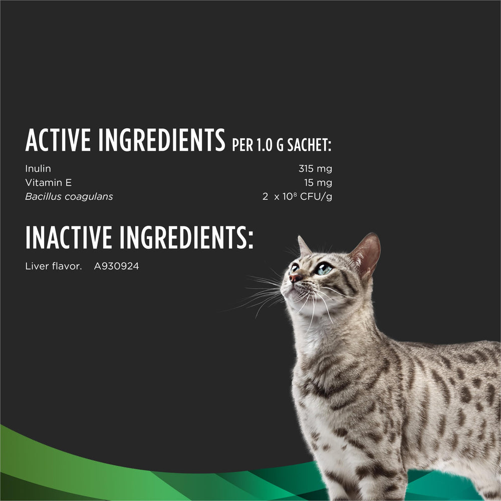 Purina Pro Plan gato comiendo del plato con suplemento y mejor aceptación
